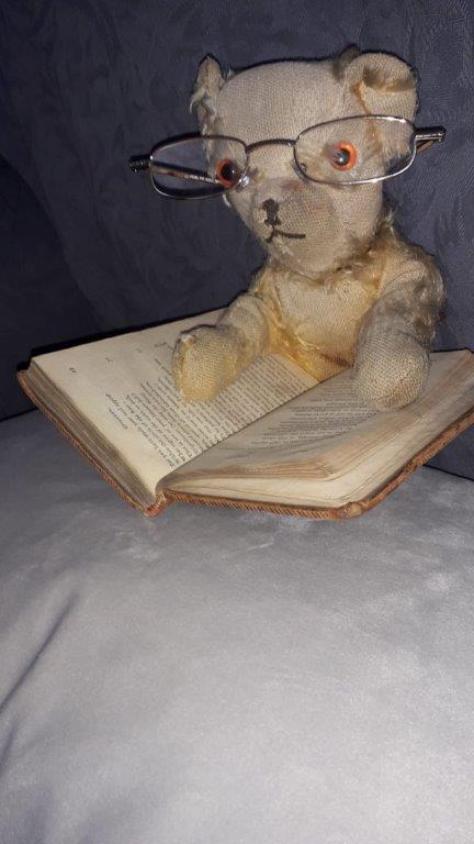 1.Teddy2