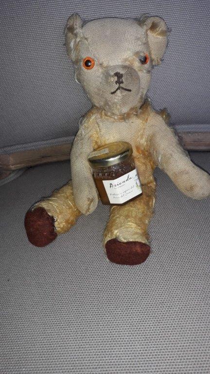 1.teddy3