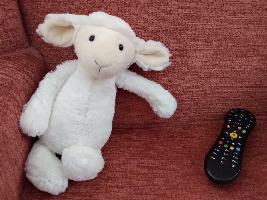 remote